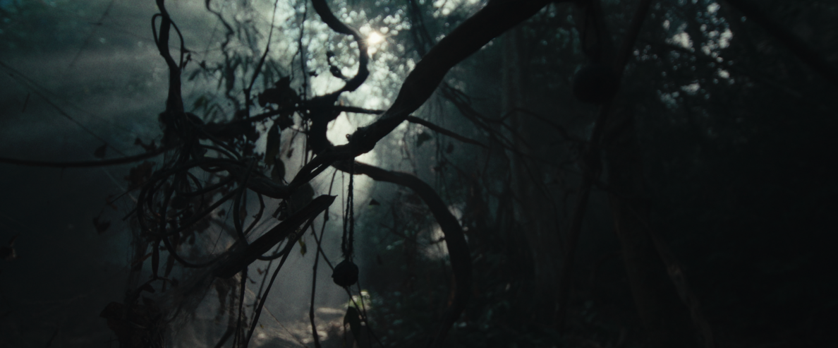 Фотография  для Первая ведьма. Долина дьявола