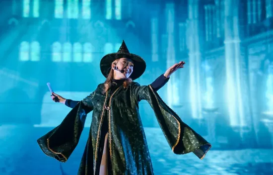 Фотография  для Мультиёлка. Школа волшебников