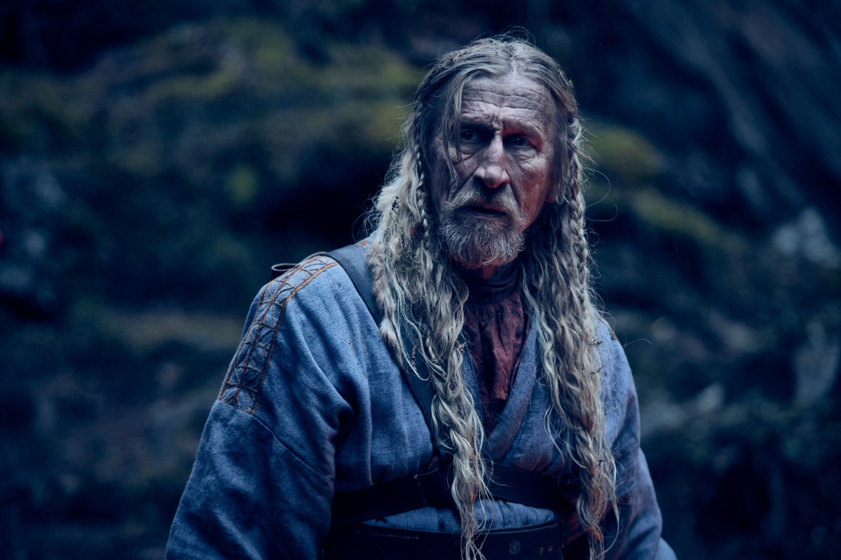 Фотография  для Космическая собака Лида