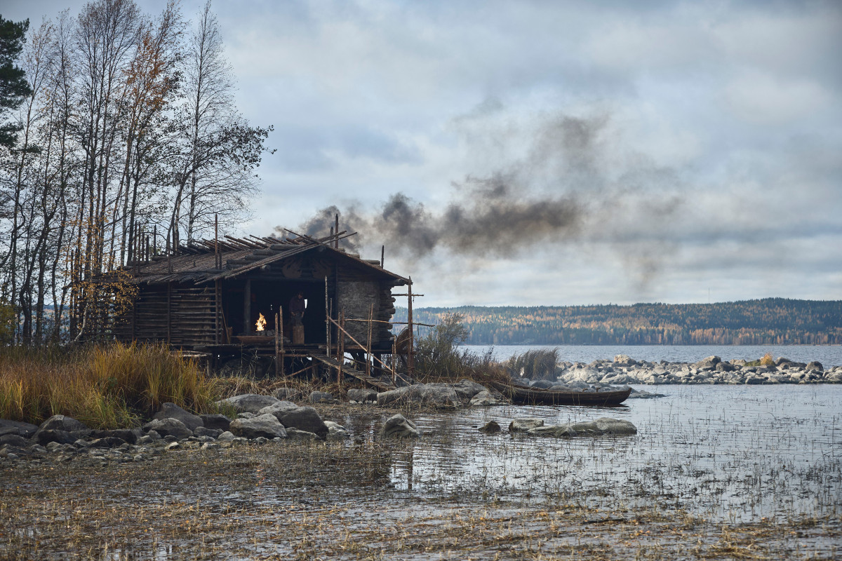 Фотография  для Космическая собака Лида