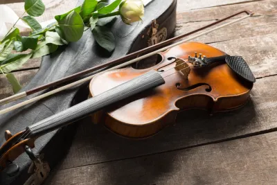 Оркестр и его солисты . Дарья Назаренко