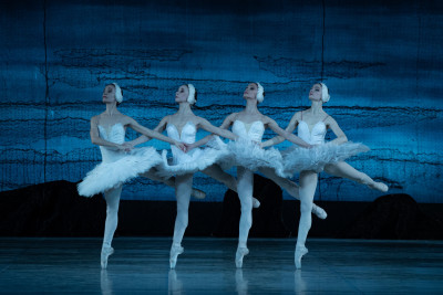 Своя в доску