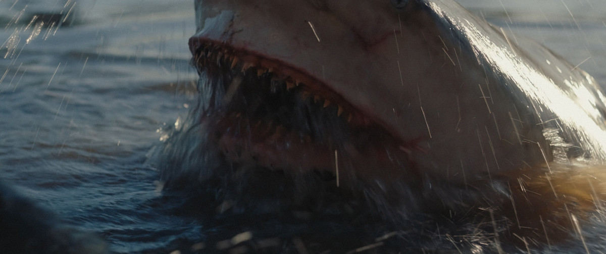 Фотография  для Багровая отмель