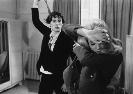 Фотография  для Дневная красавица