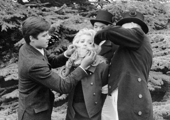 Фотография  для Дневная красавица