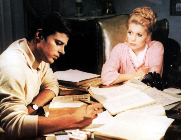 Фотография  для Дневная красавица