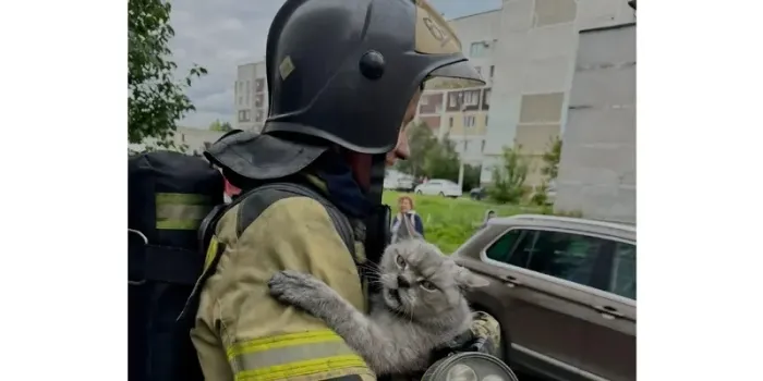В Татарстане пожарные спасли кота из пожара