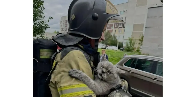 Фото:  ГУ МЧС по Татарстану