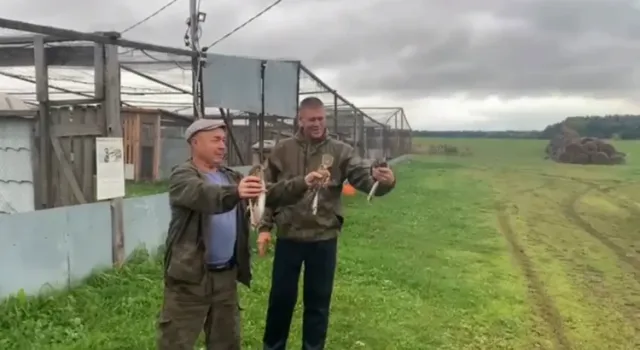 В Татарстане выпустили на волю редких хищных птиц