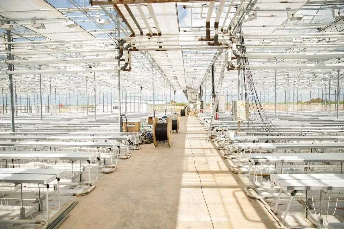 Фото: пресс-служба Мамадышского района РТ