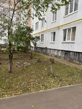 В Челнах жители самовольно спилили деревья возле многоквартирного дома