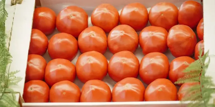 Цены на продукты в Татарстане: что подорожало, а что стало дешевле за минувшую неделю