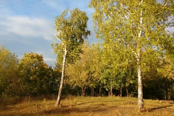 Татарстан ждёт аномально тёплый конец октября