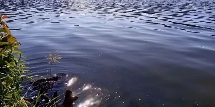 В Татарстане с начала года на воде погибли 75 человек