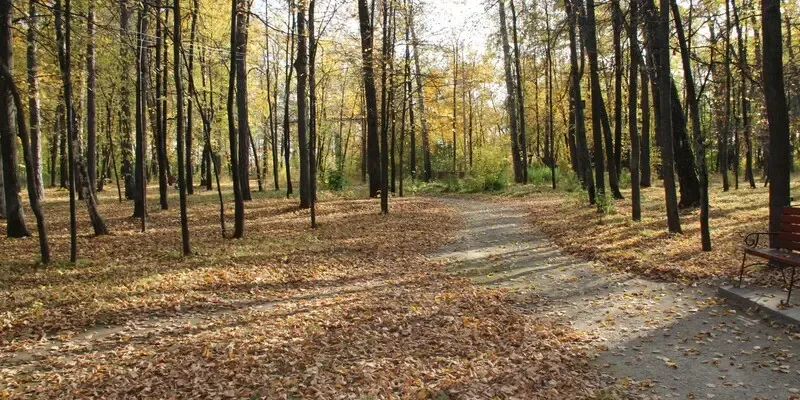 Бабье лето в октябре? В Татарстане потеплеет до +15 градусов