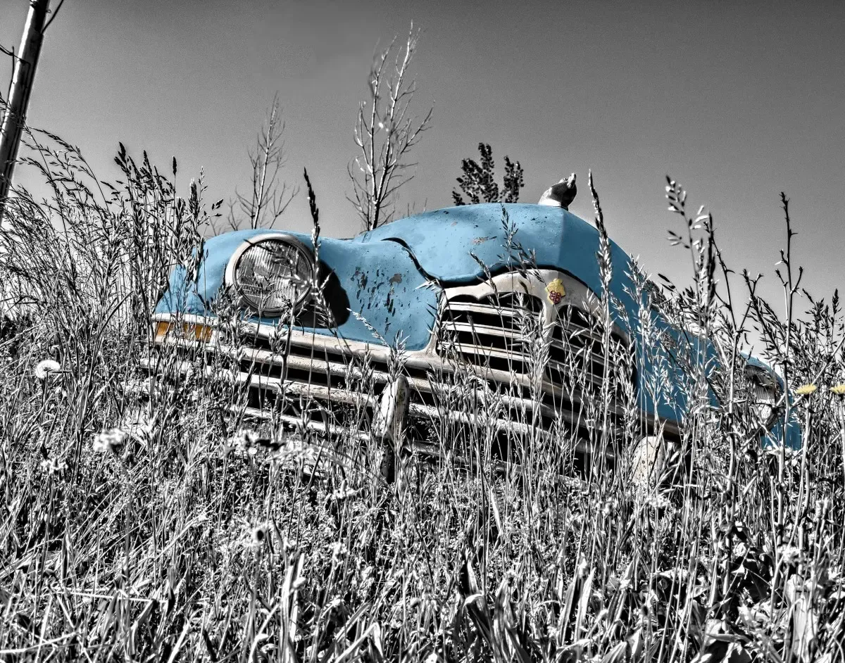 Фото: pxhere.com