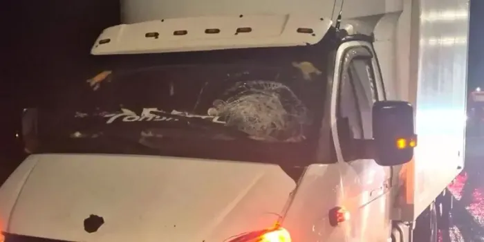 На трассе в Алексеевском районе «ГАЗель» насмерть сбила пешехода