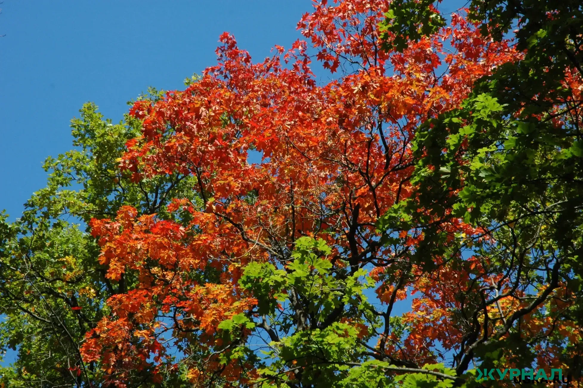 Фото: zur-kazan.ru