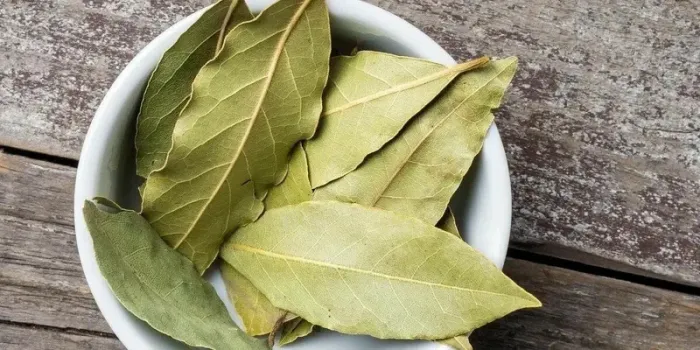 Лавровый лист едва не лишил нижнекамца жизни: что произошло