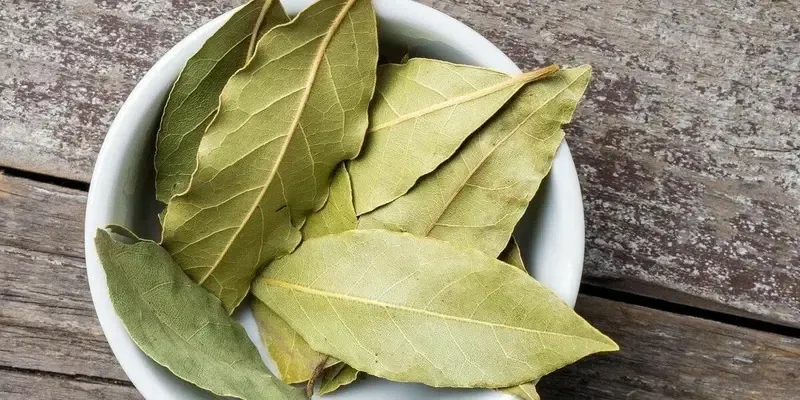 Лавровый лист едва не лишил нижнекамца жизни: что произошло