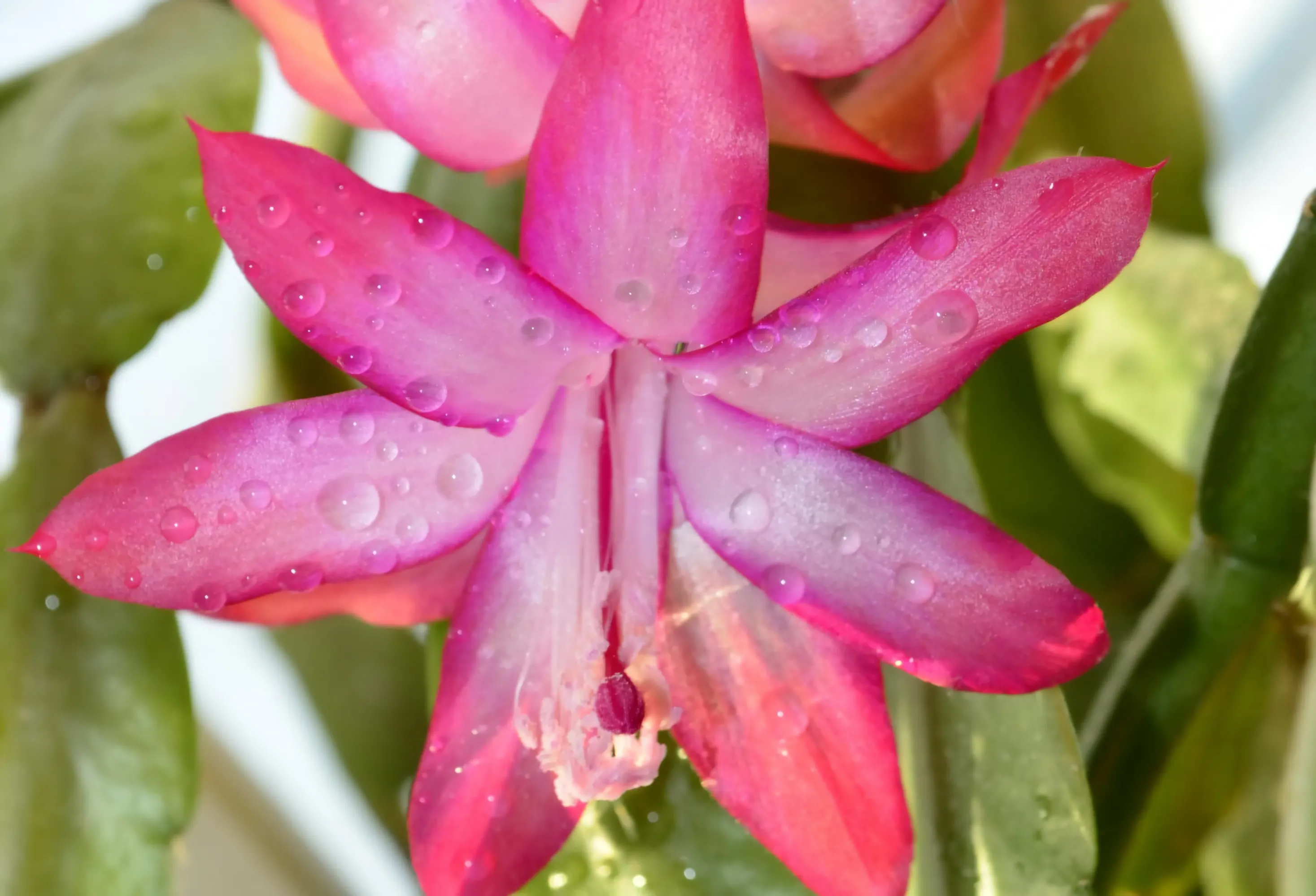 Фото: freepic.com