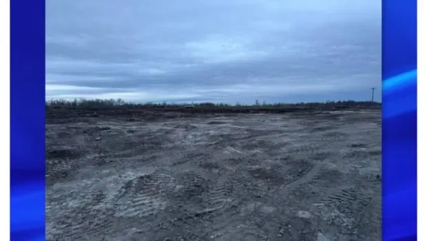 Птицы создают риск для авиации: полигон у аэропорта Бугульмы обязали ликвидировать