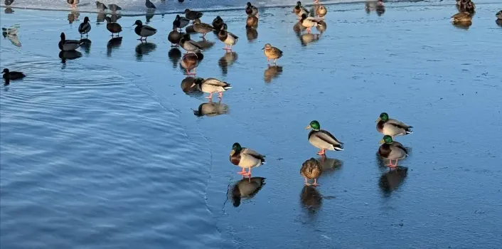 В Татарстане зима снова откладывается: снегопада не ждут ещё минимум десять дней