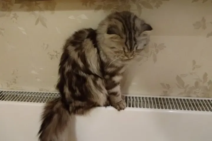 В Татарстане с 1 января подорожают услуги ЖКХ: сколько будут платить за коммуналку