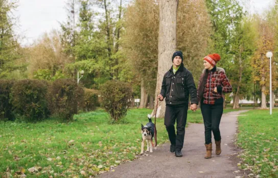 Эксперт КФУ объяснила, почему 10−20 тысяч шагов не вредят суставам