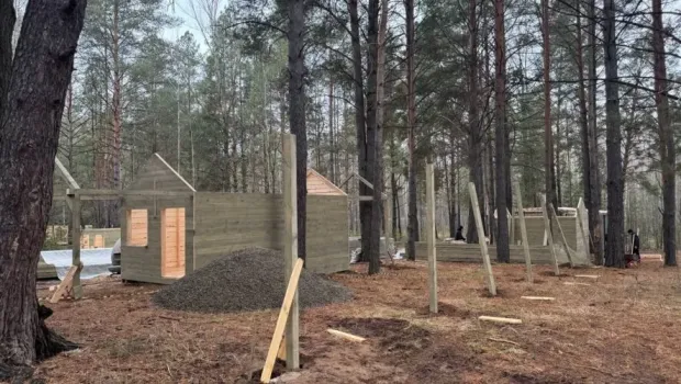 В Челнах появится первый парк с альпаками: названа дата открытия