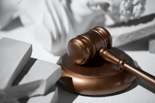 Нападение стаи собак на девочку под Казанью: задержаны сотрудники приюта