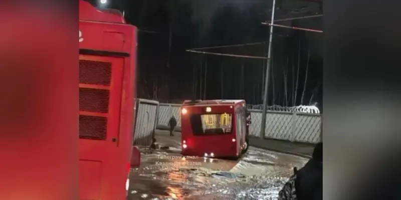 Фото: скиншот