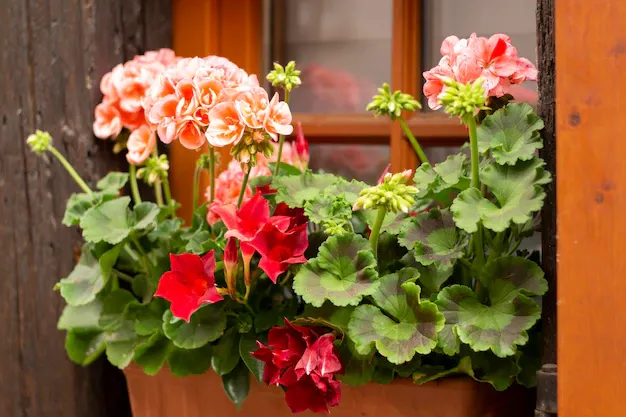 Фото: pxhere.com