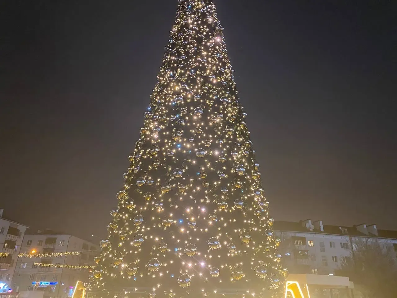 Фото: Алина Алмакаева