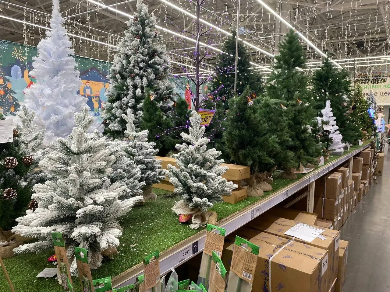 Фото: Алина Алмакаева