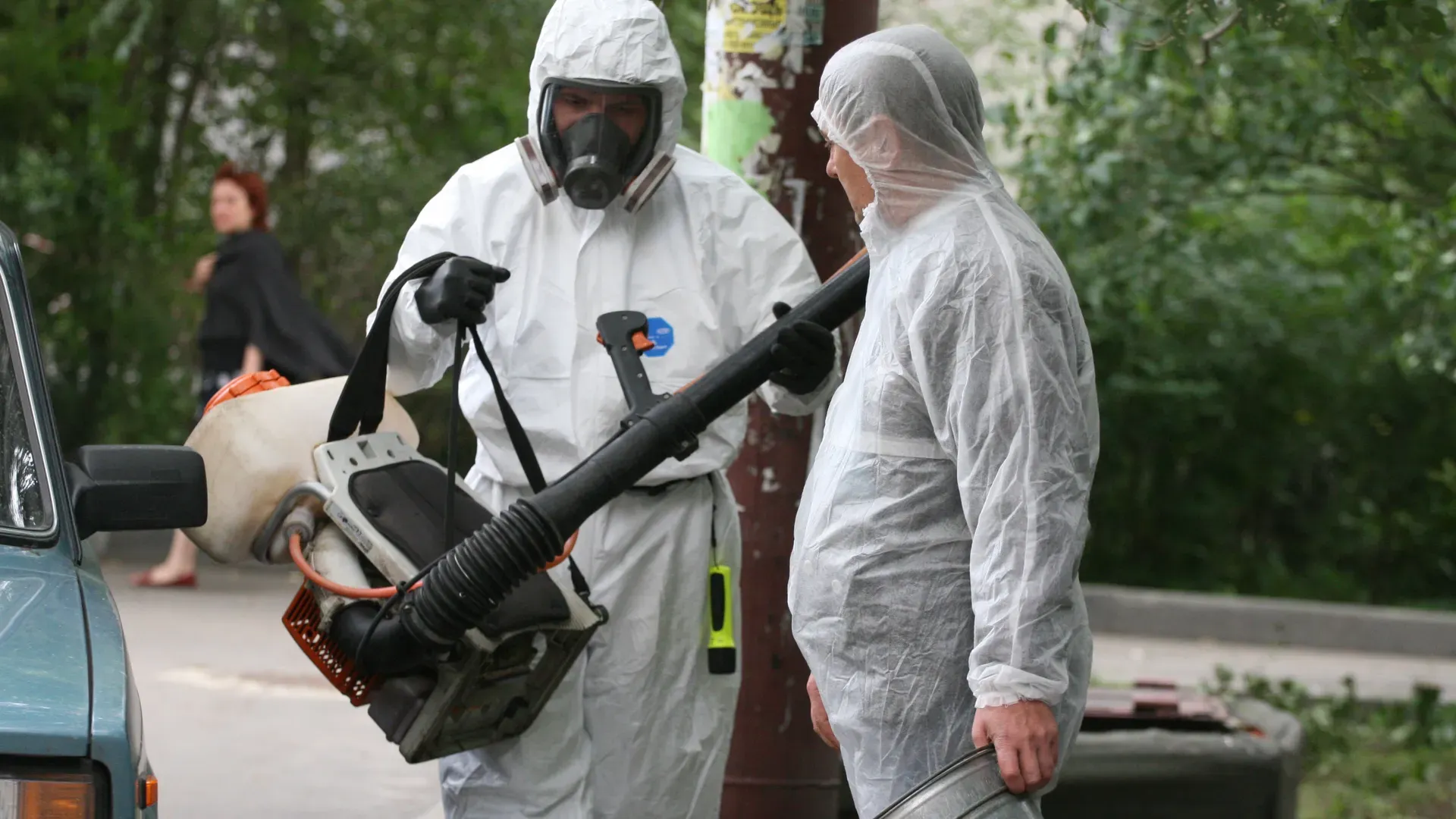 Фото: Медиасток.рф