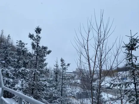 В Минобрнауки Татарстана напомнили, при какой температуре отменяют уроки