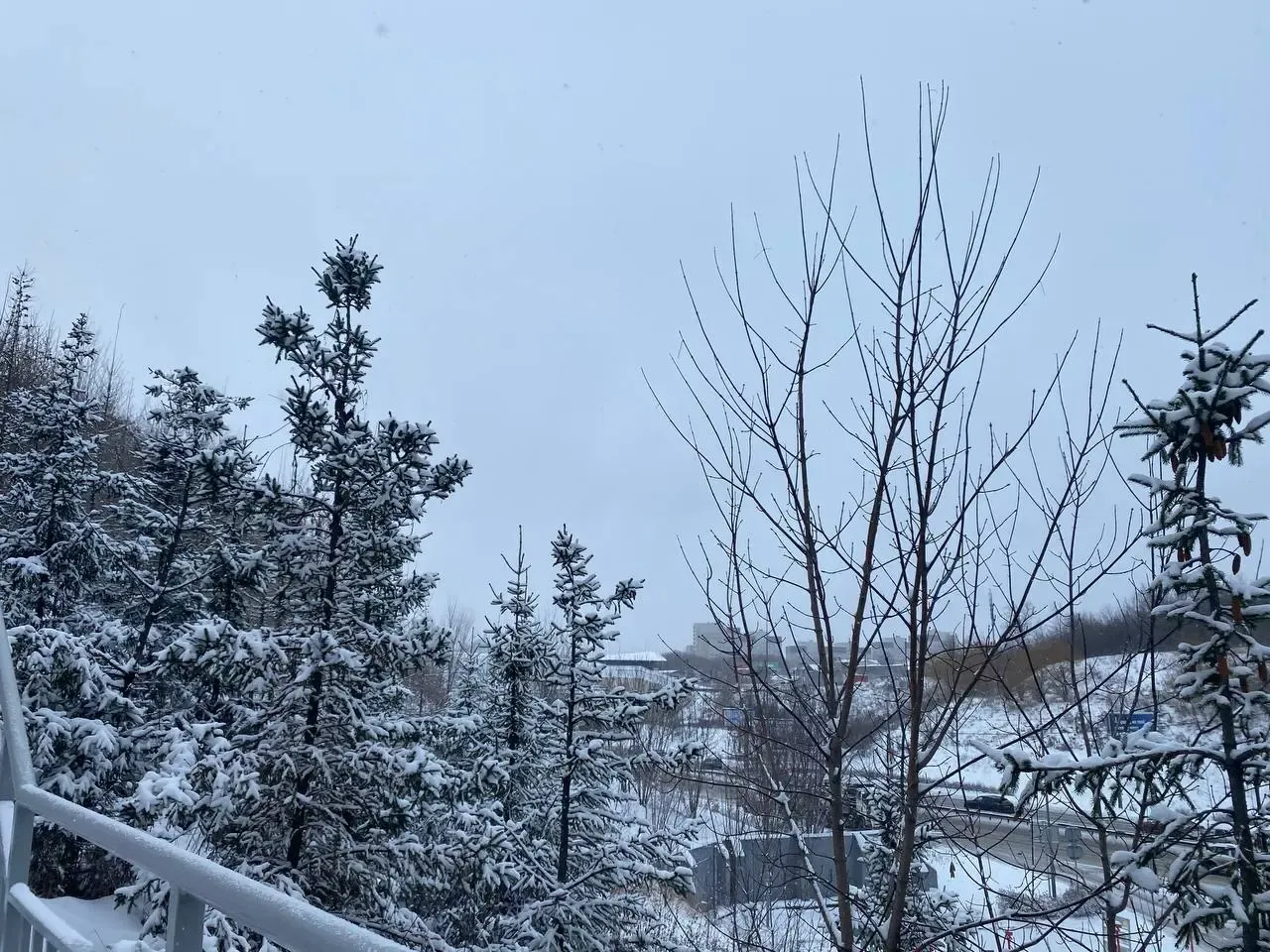 Фото: Алина Алмакаева