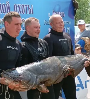Житель Казани выловил сома весом 50 кг