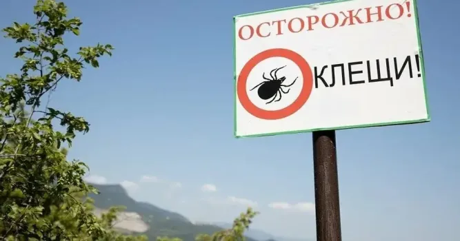 Четыре случая клещевого боррелиоза зафиксированы в Татарстане с начала сезона