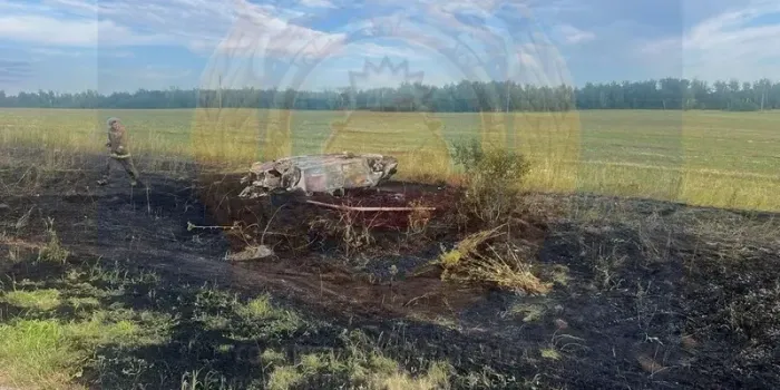 В Бугульминском районе Opel загорелся после ДТП — водитель погиб на месте