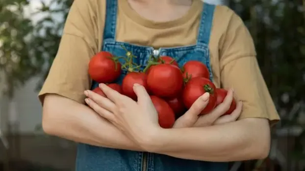Развели в ведре — и под каждый куст: культуры будут соревноваться в урожайности — соседи умрут от зависти