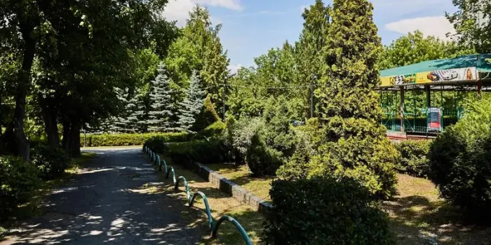 В Куюках просят построить парк