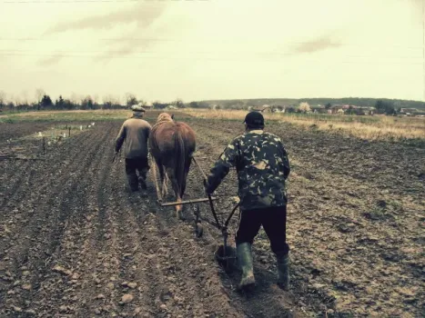 В Японии грядки делают только так: невероятный результат гарантирован — метод идеален для быстрорастущих культур