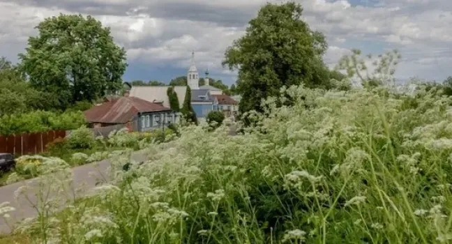В Татарстане загородный дом подорожал до 7,2 млн рублей