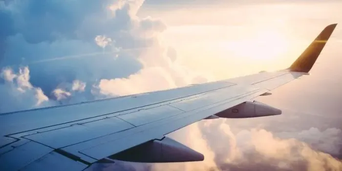 Житель Набережных Челнов отсудил у Turkish Airlines почти миллион за сорванный перелёт