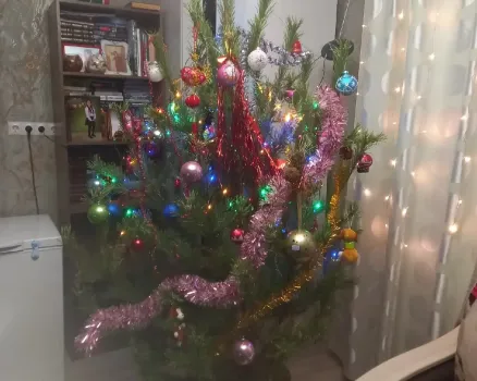 Опасность новогодней мишуры для домашних кошек предупредила ветеринар