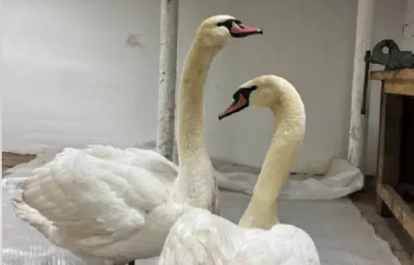 Фото: Минэкологии РТ.