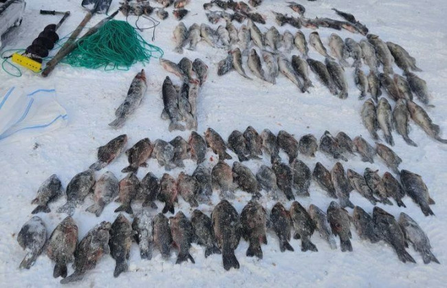 В Татарстане задержан рыбак, ловивший рыбу сетями на реке Мензеля