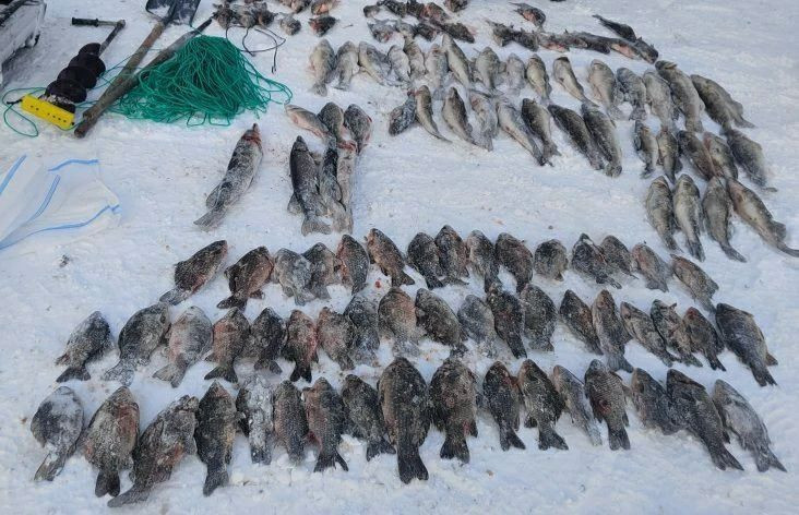 В Татарстане задержан рыбак, ловивший рыбу сетями на реке Мензеля